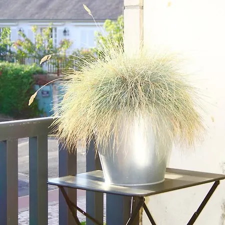 Apartment Le Clos De Sablier Tourgeville