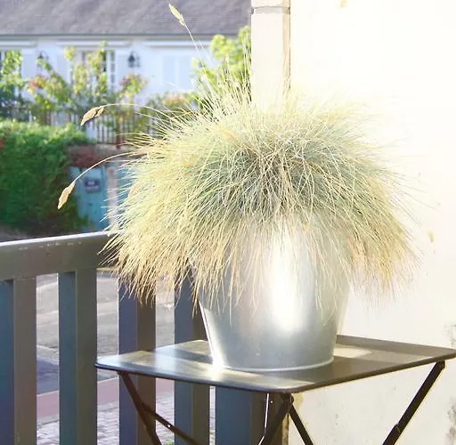 Apartment Le Clos De Sablier Tourgeville